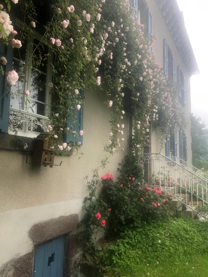 Bed and Breakfast Le Figarelou Thiézac Exterior foto