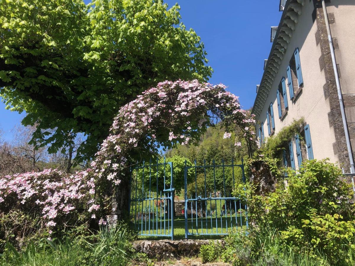 Bed and Breakfast Le Figarelou Thiézac Exterior foto